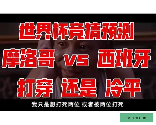 世界杯精彩赛事胜负预测平台全方位解析与即时竞猜体验