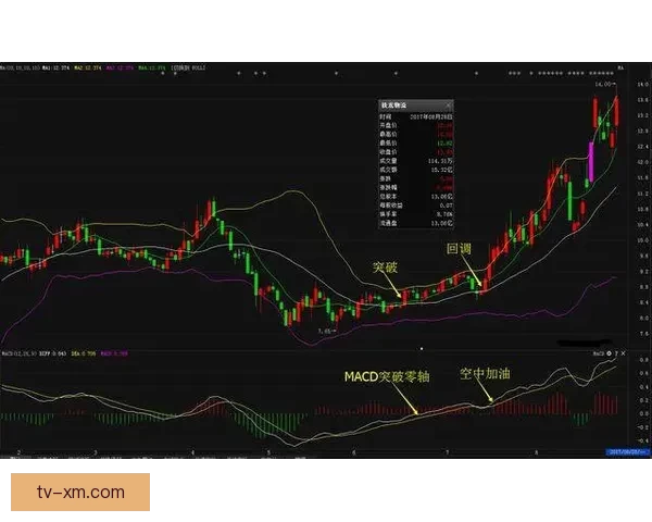 精准预测体育赛事走势 玩转数据分析轻松获利