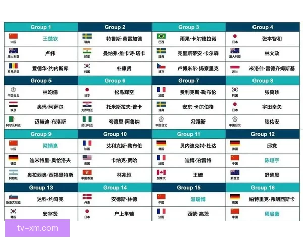 世界杯竞猜赛事直播精彩解析与热门对阵全程预测指南