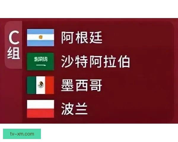 世界杯足球竞猜官网权威数据分析实时预测与新手指南综合服务中心